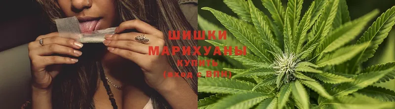 цена   Ермолино  Каннабис Ganja 